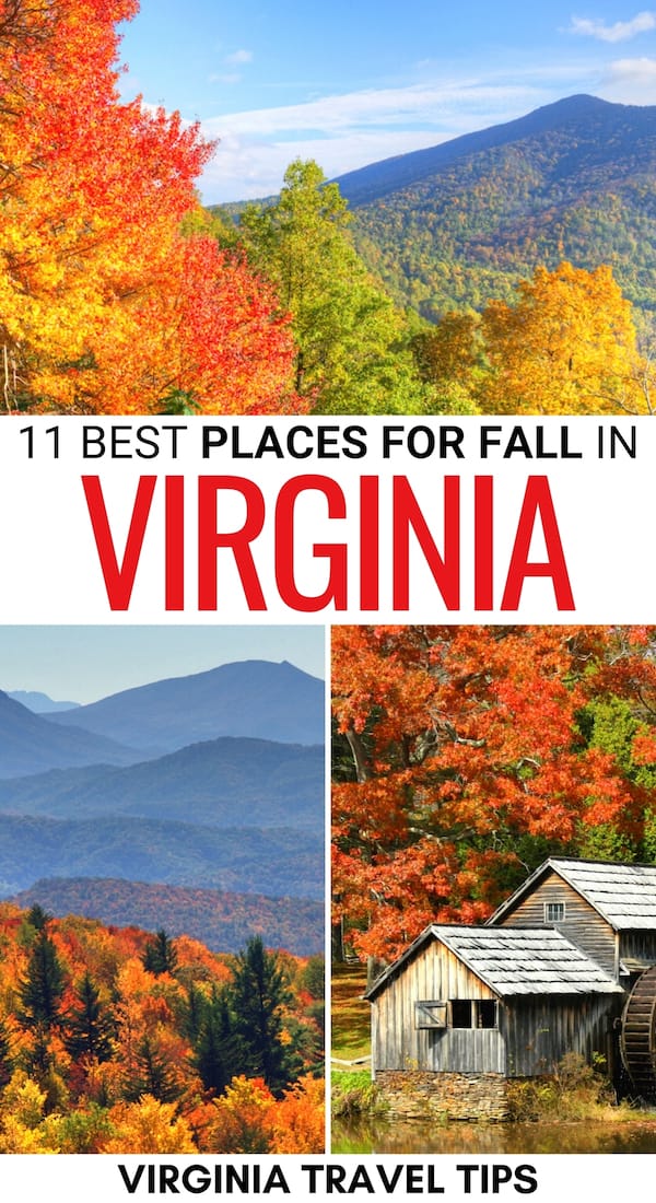 11 Places to Find the Prettiest Fall Foliage in Virginia