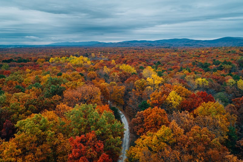 Fall foliage in Virginia
