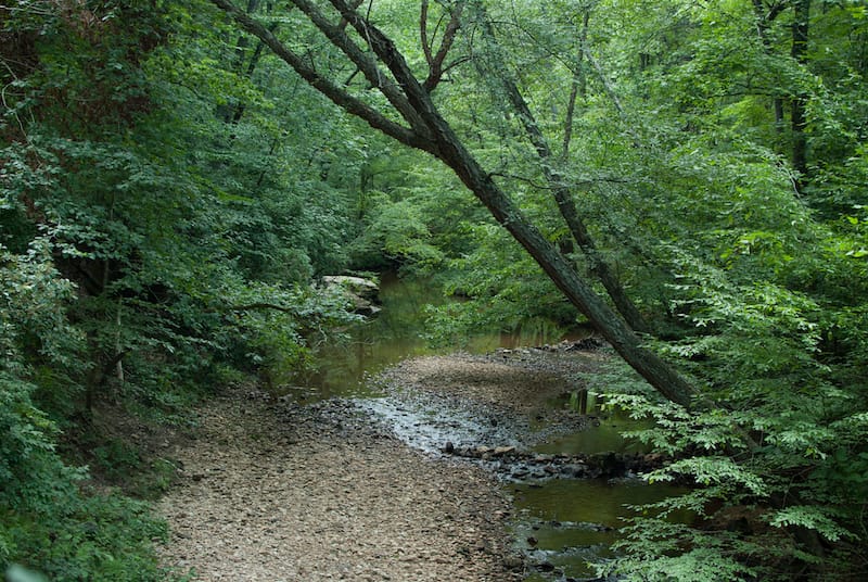 Hazel Run at Alum Spring Park