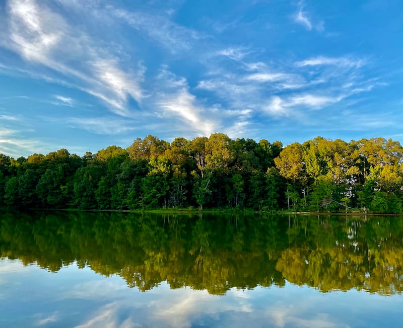 Herb Parsons Lake in Collierville