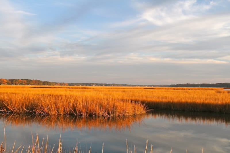 Lynnhaven River