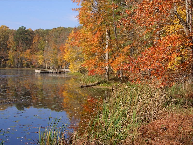 Pocahontas State Park