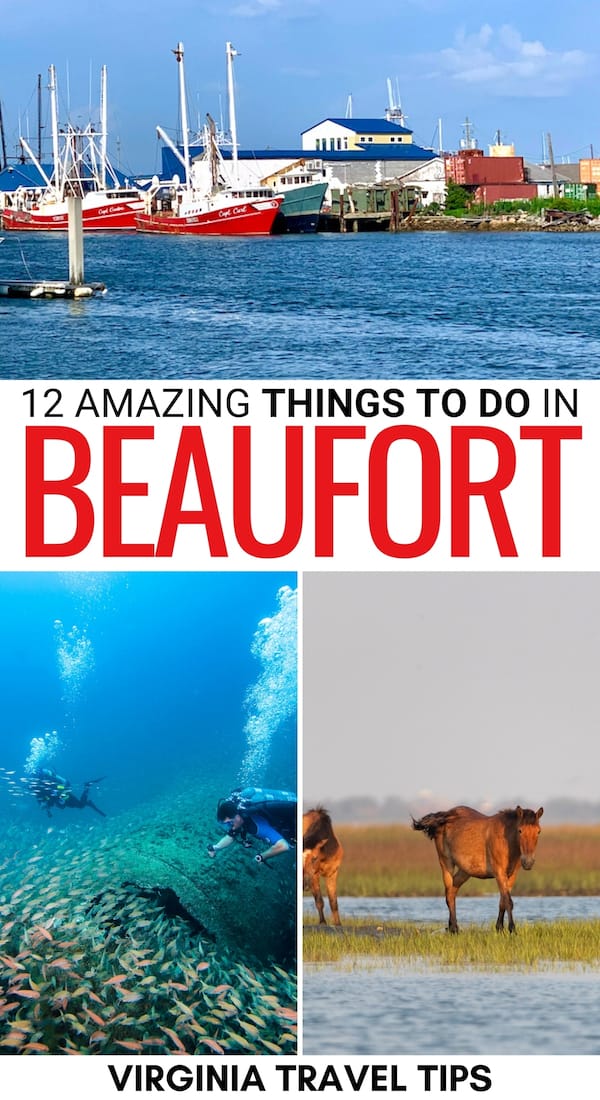 Are you looking for the best things to do in Beaufort NC? This guide has you covered - from historical sights to delicious restaurants and more! Click for more! | What to do in Beaufort NC | Beaufort attractions | Beaufort landmarks | Beaufort sightseeing | Beaufort NC things to do | Places to see in Beaufort NC | Beaufort beaches | Beaufort kayaking | Beaufort parasailing | Scuba diving in Beaufort NC | Places to visit Crystal Coast | Places to visit in NC