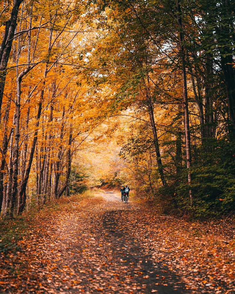 Virginia Creeper Trail