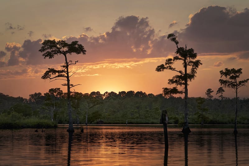 West Neck Creek