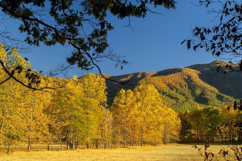 Cades Cove