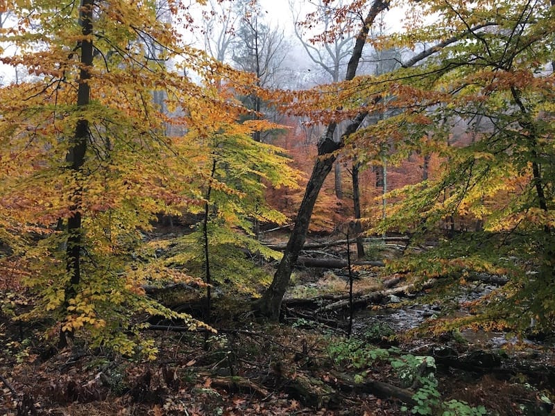 Cunningham Falls State Park