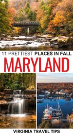 11 Gorgeous Places to Experience Fall in Maryland