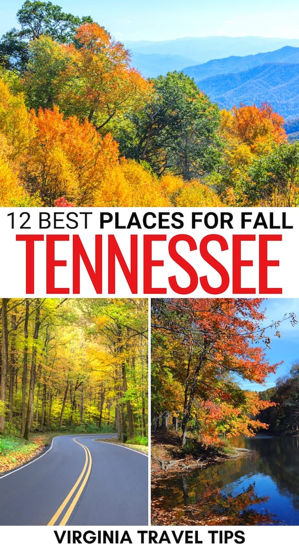 Looking for some gorgeous places to enjoy fall in Tennessee? This guide lists some epic places for fall foliage in Tennessee, including parks, cities, and more! | Tennessee fall | Leaf peeping in Tennessee | Things to do in Tennessee | Fall in Memphis | Fall in Nashville | Fall in Chattanooga | Fall in Great Smoky Mountains National Park | Fall in TN | Autumn in Tennessee