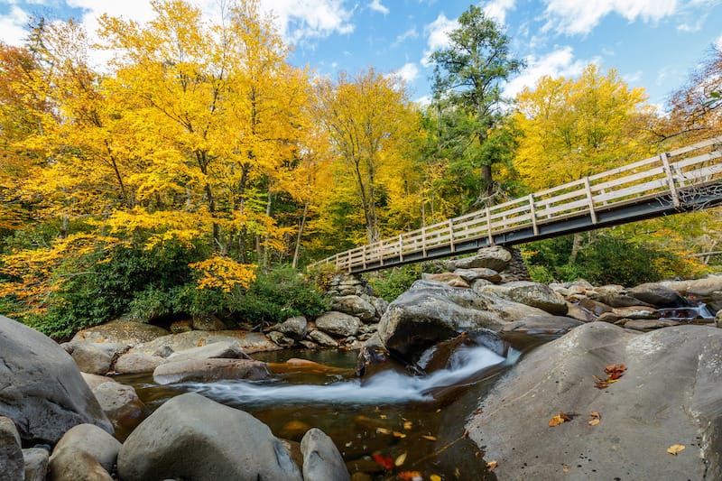 Great Smoky Mountains National Park