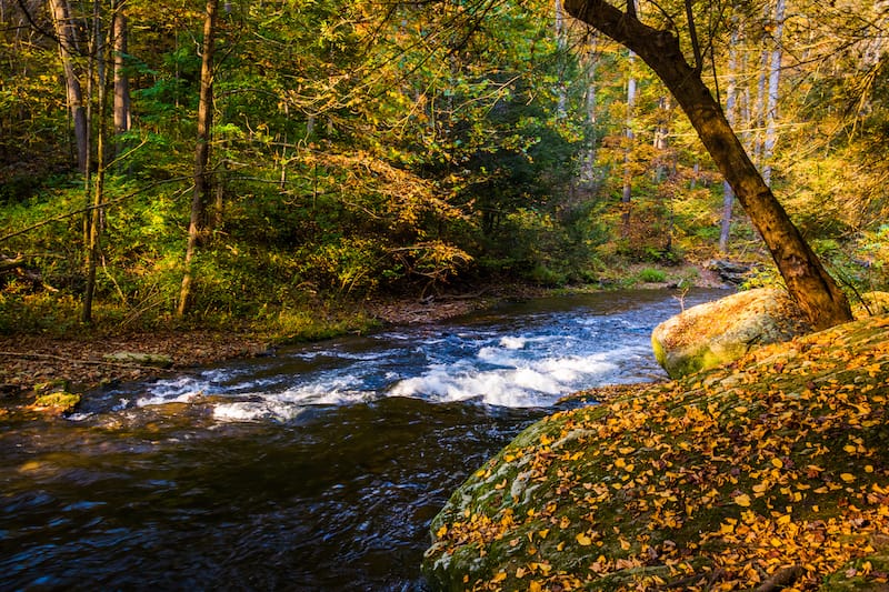 Gunpowder Falls State Park