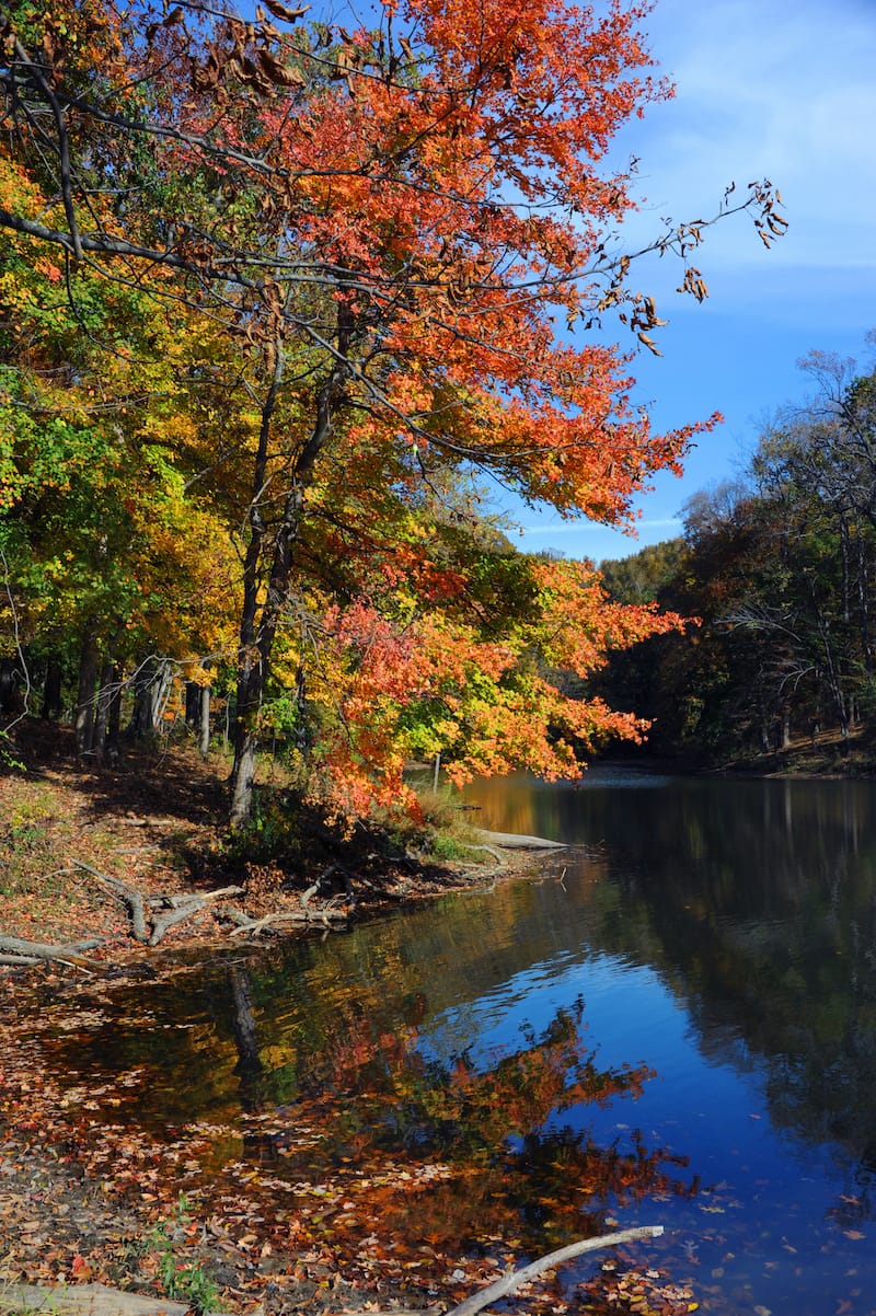 Meeman-Shelby Forest State Park