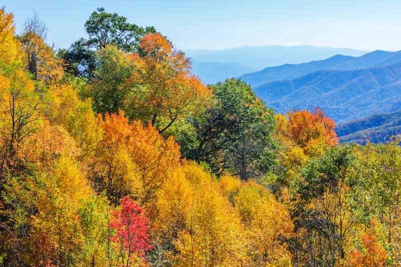 Newfound Gap road