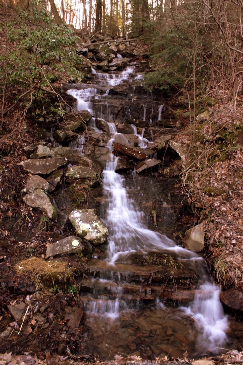 Prentice Cooper State Forest via Brent Moore (CC BY-NC 2.0 Flickr)