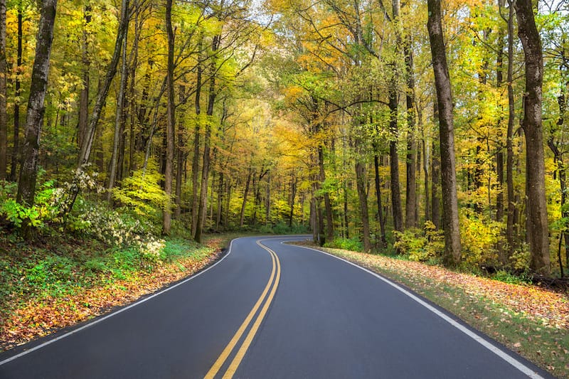 Road near Gatlinburg