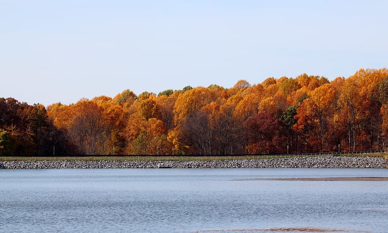 Seneca Creek State Park via Mr.TinDC (CC BY-ND 2.0 Flickr)