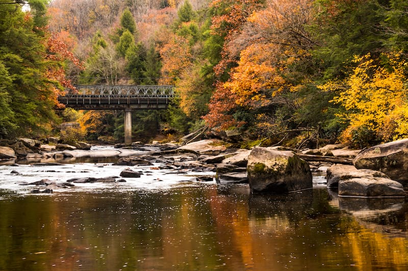 Swallow Falls State Park