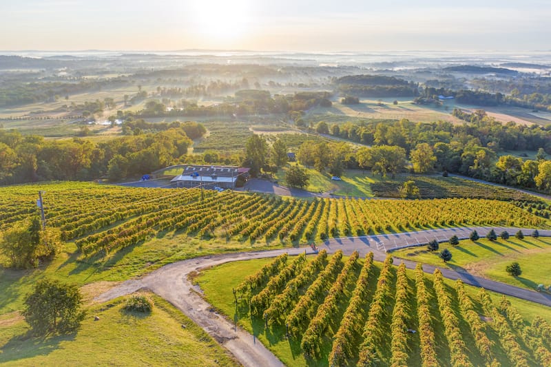 Bluemont Vineyards in Loudoun County