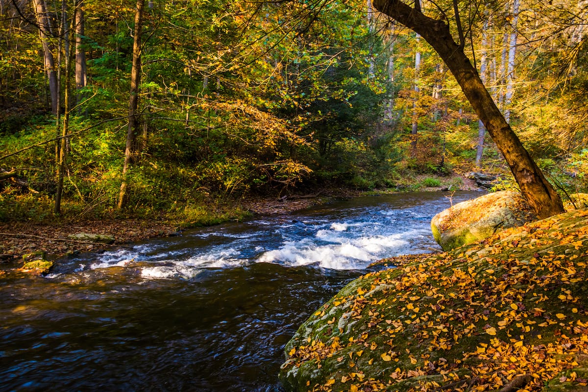 Gunpowder Falls State Park