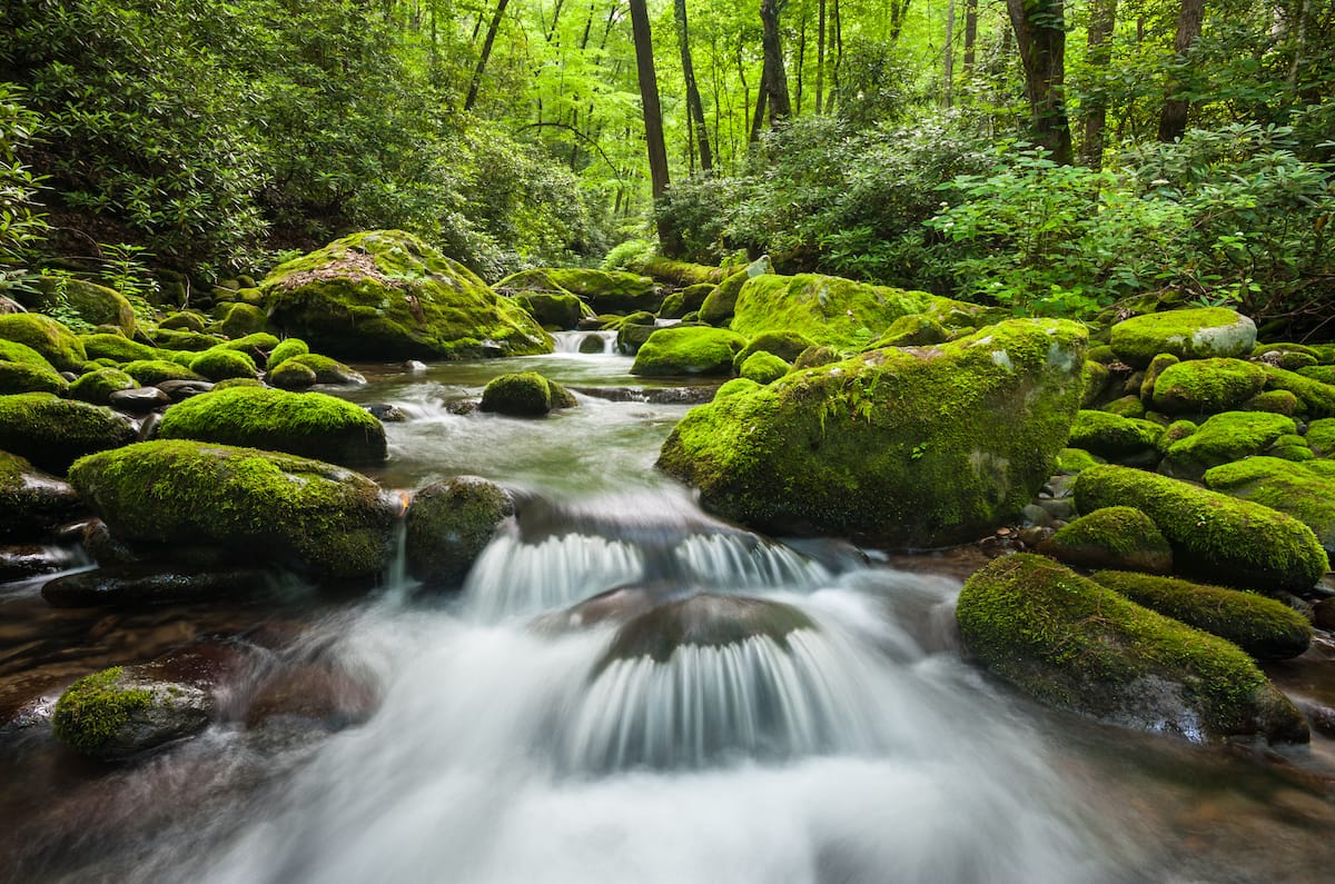 Appalachian National Scenic Trail's Tennessee trails