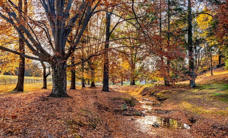 Beautiful nature in Charlottesville