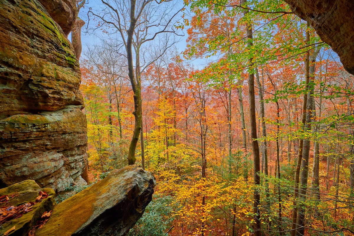 Big South Fork National River and Recreation Area