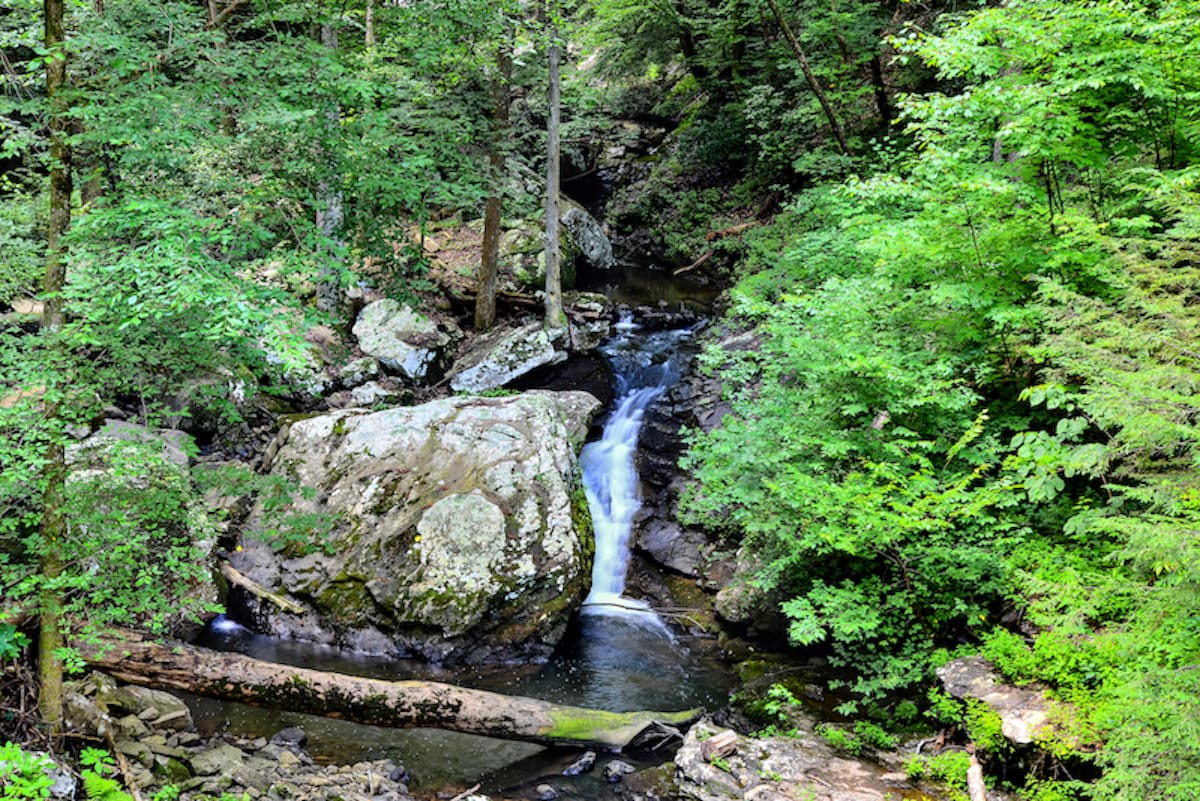 Cloudland Canyon State Park  