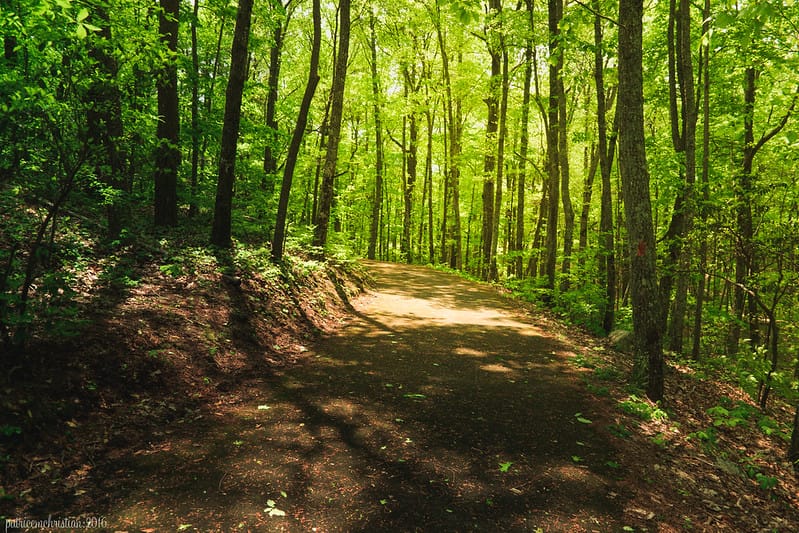 Fort Mountain State Park via Patrice Christian (CC BY-NC-ND 2.0 Flickr)