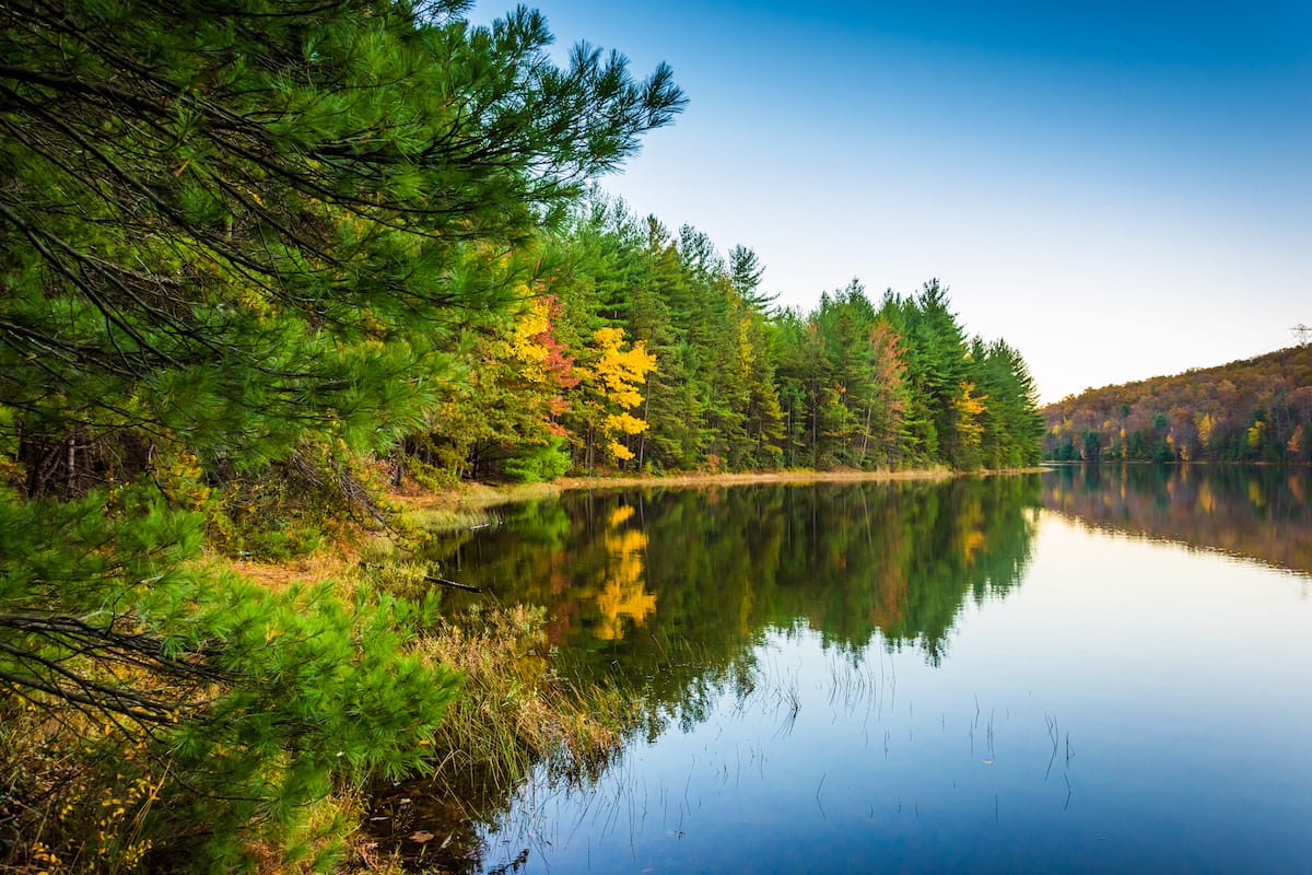 Michaux State Forest