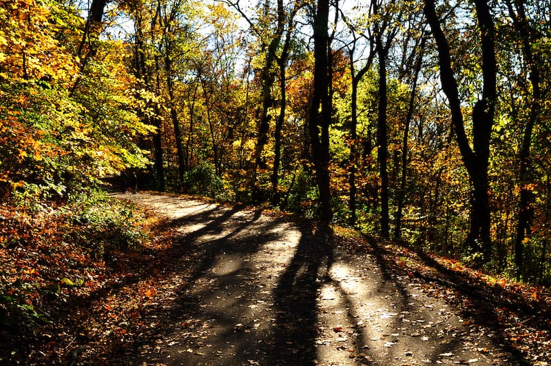 Natchez Trace National Scenic Trail