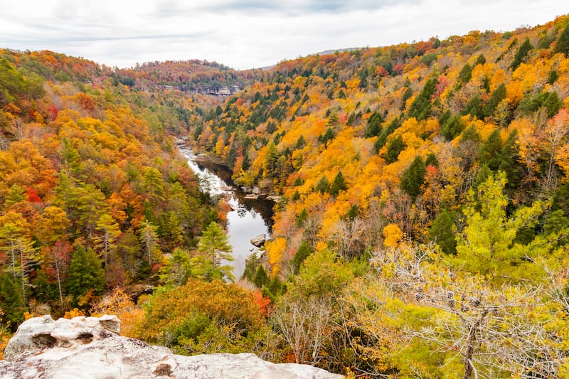 Obed Wild and Scenic River