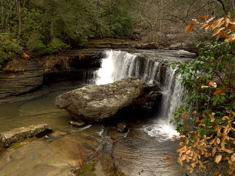 Savage Gulf State Natural Area