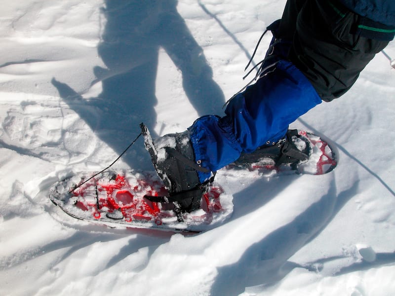 Snowshoeing in winter