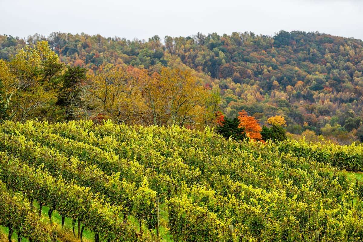 Wineries near Charlottesville