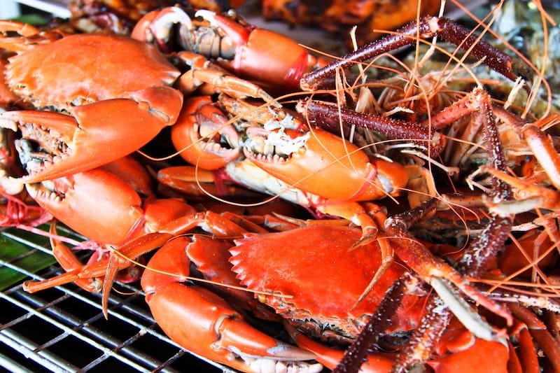 Chesapeake Blue Crabs