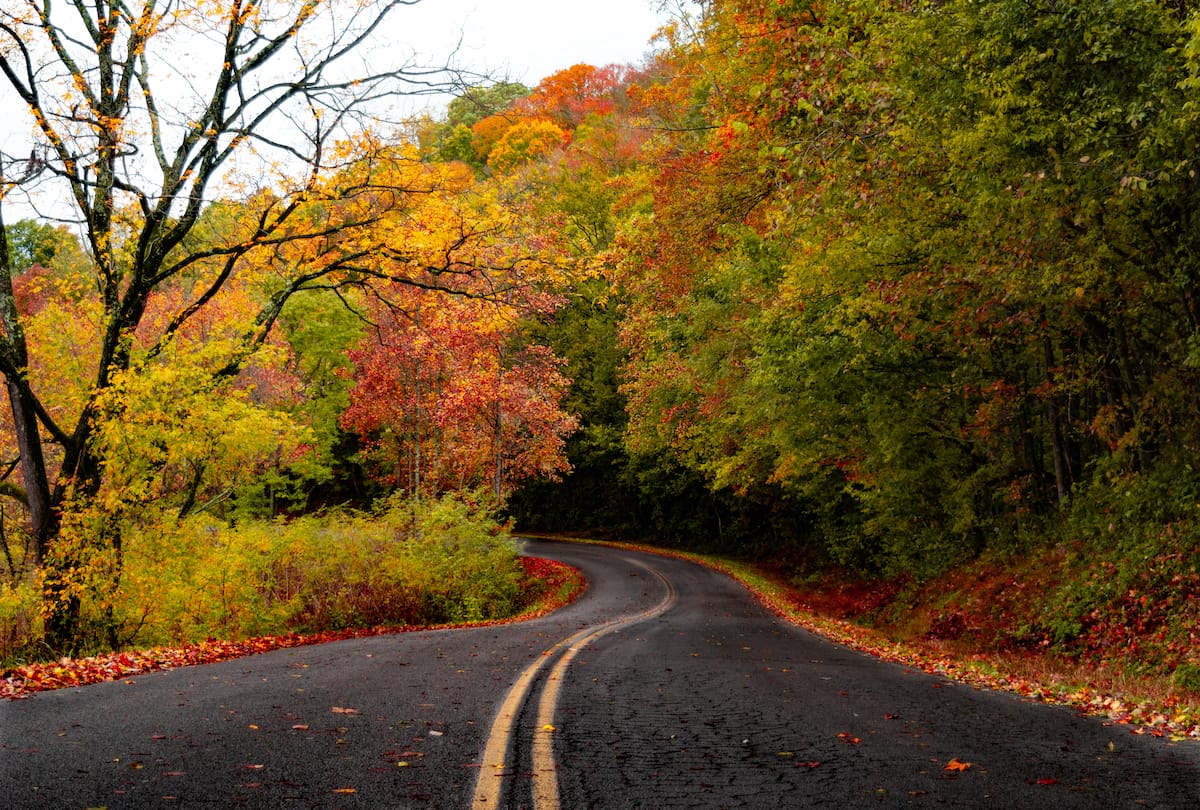 Columbia, TN in the fall