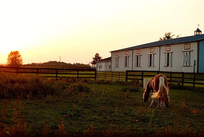 Meadow Lake Equestrian Center