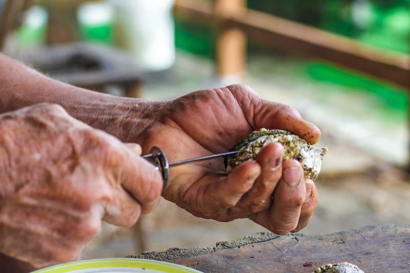 Oyster shucking in Virginia