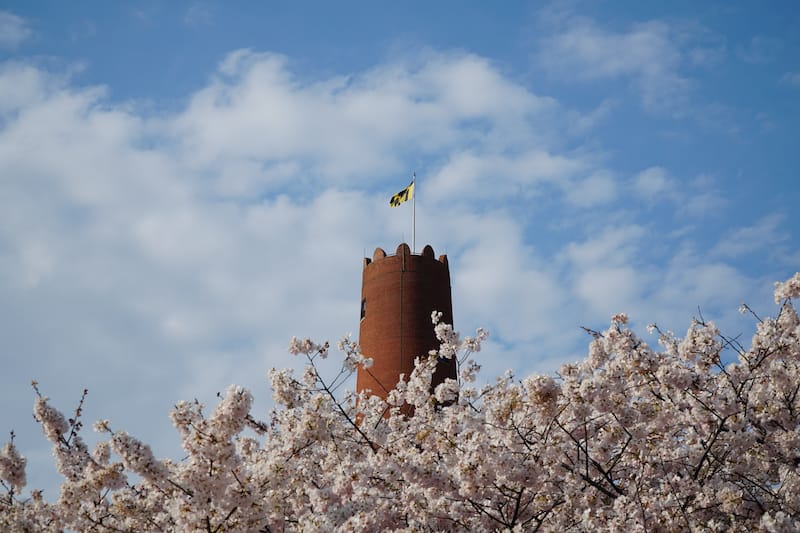 Phoenix Shot Tower