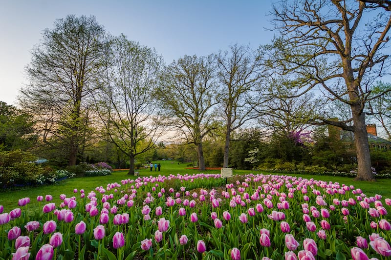 Sherwood Gardens in Baltimore