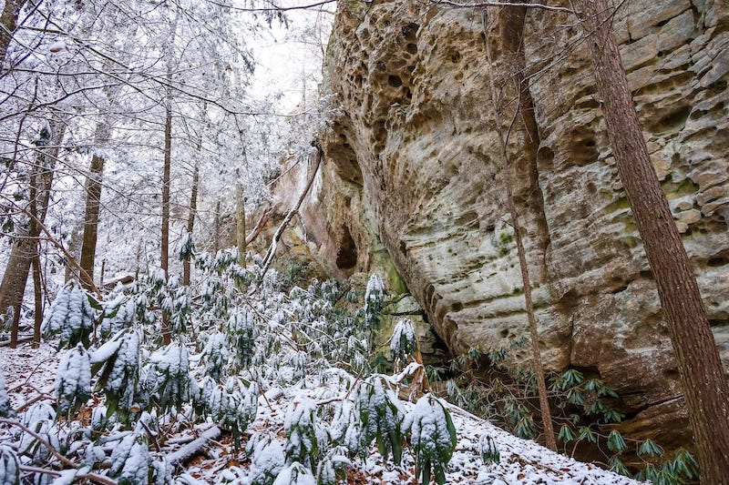 Snow during winter in Kentucky