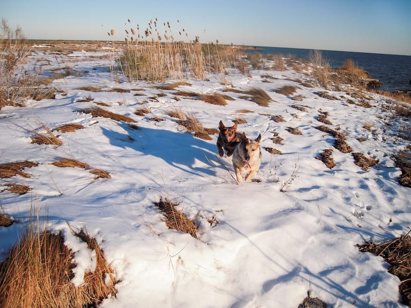 Virginia Beach in winter (with snow!)