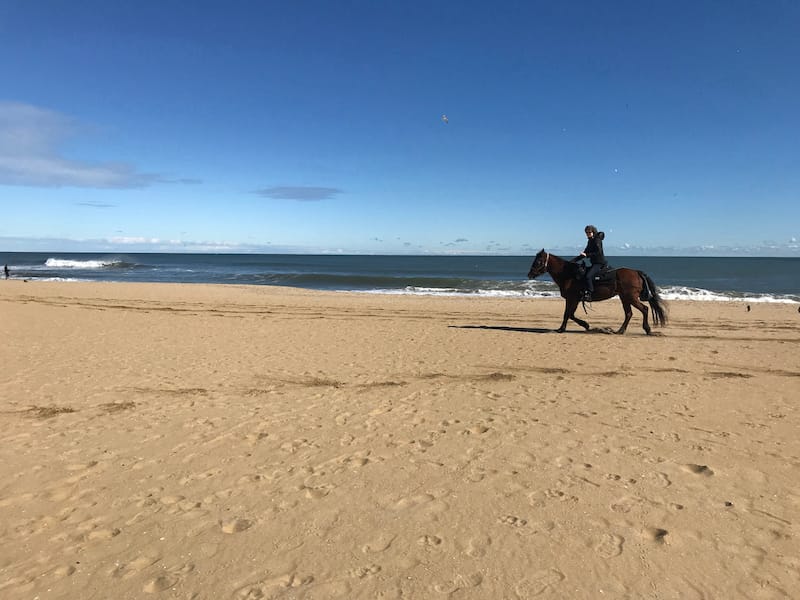 Virginia Beach on a horseback ride