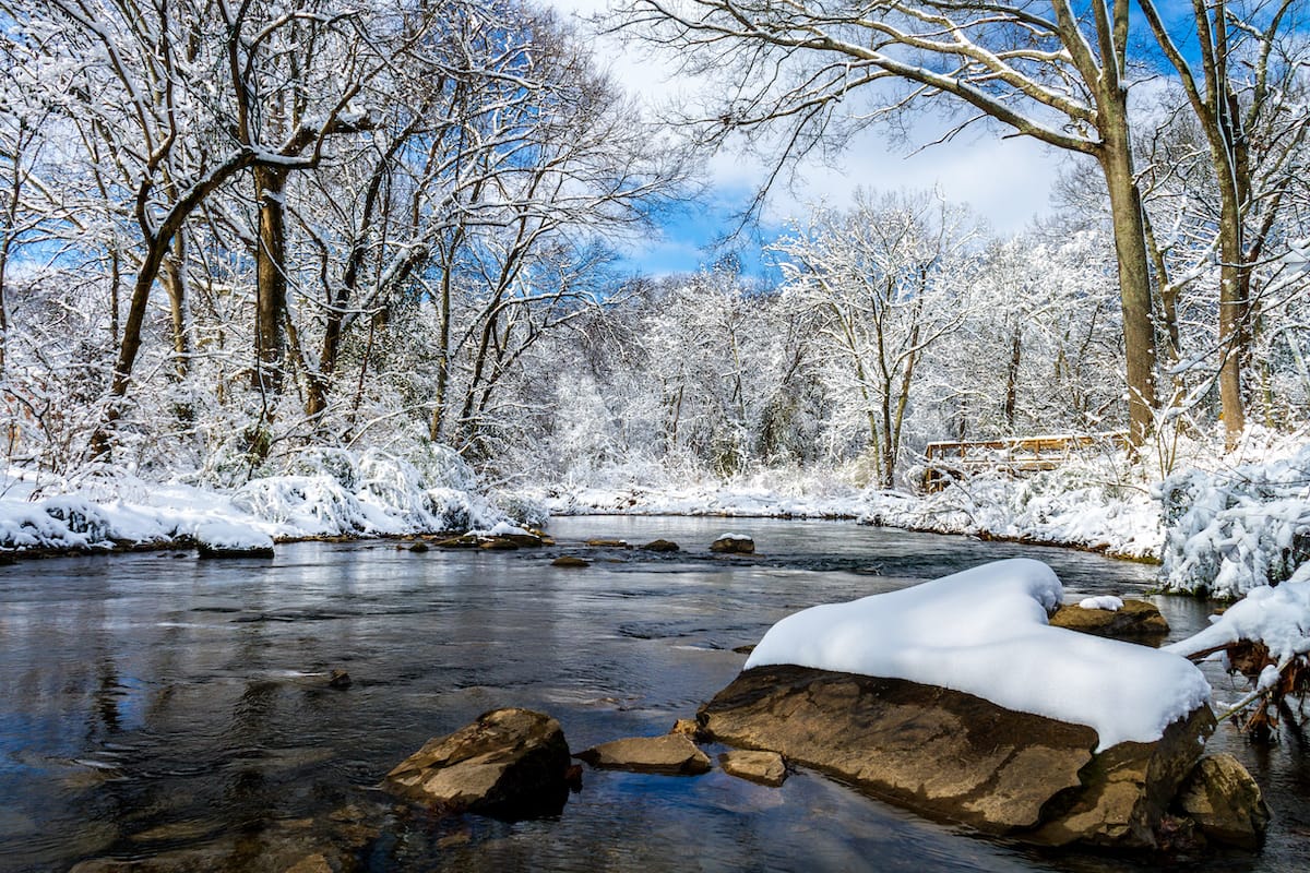 Winter in Nashville at Richland Creek Greenway