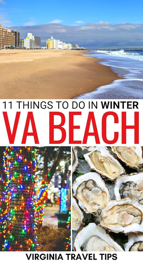 Are you visiting Virginia Beach in winter and are unsure about what to do? This guide will help! These are our winter in VA Beach tips and recommendations! | VA Beach in winter | Hampton Roads winter | Virginia in winter | Virginia Beach in December | Virginia Beach in January | Virginia Beach in February | Best time to visit Virginia Beach | Christmas in Virginia Beach | Holiday lights in Virginia Beach | Hiking in Virginia Beach | Virginia Beach restaurants | VA Beach oysters