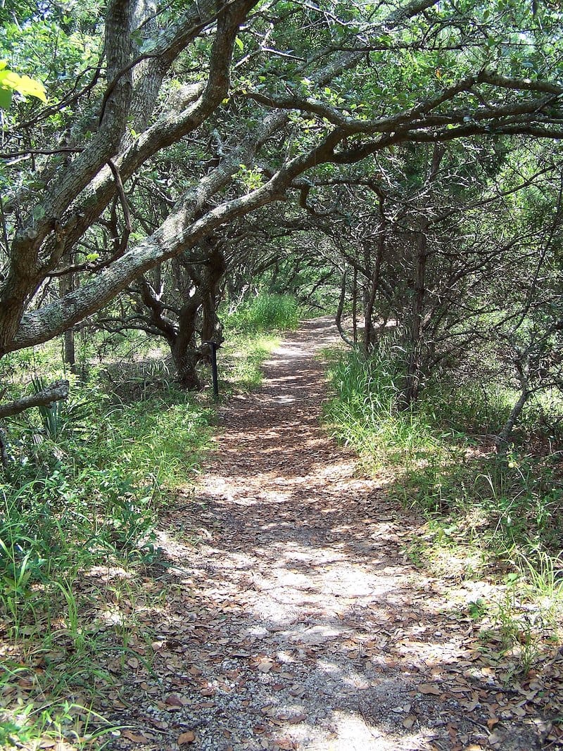 Buxton Woods Trail via Matt (Flickr CC BY-NC-ND 2.0)