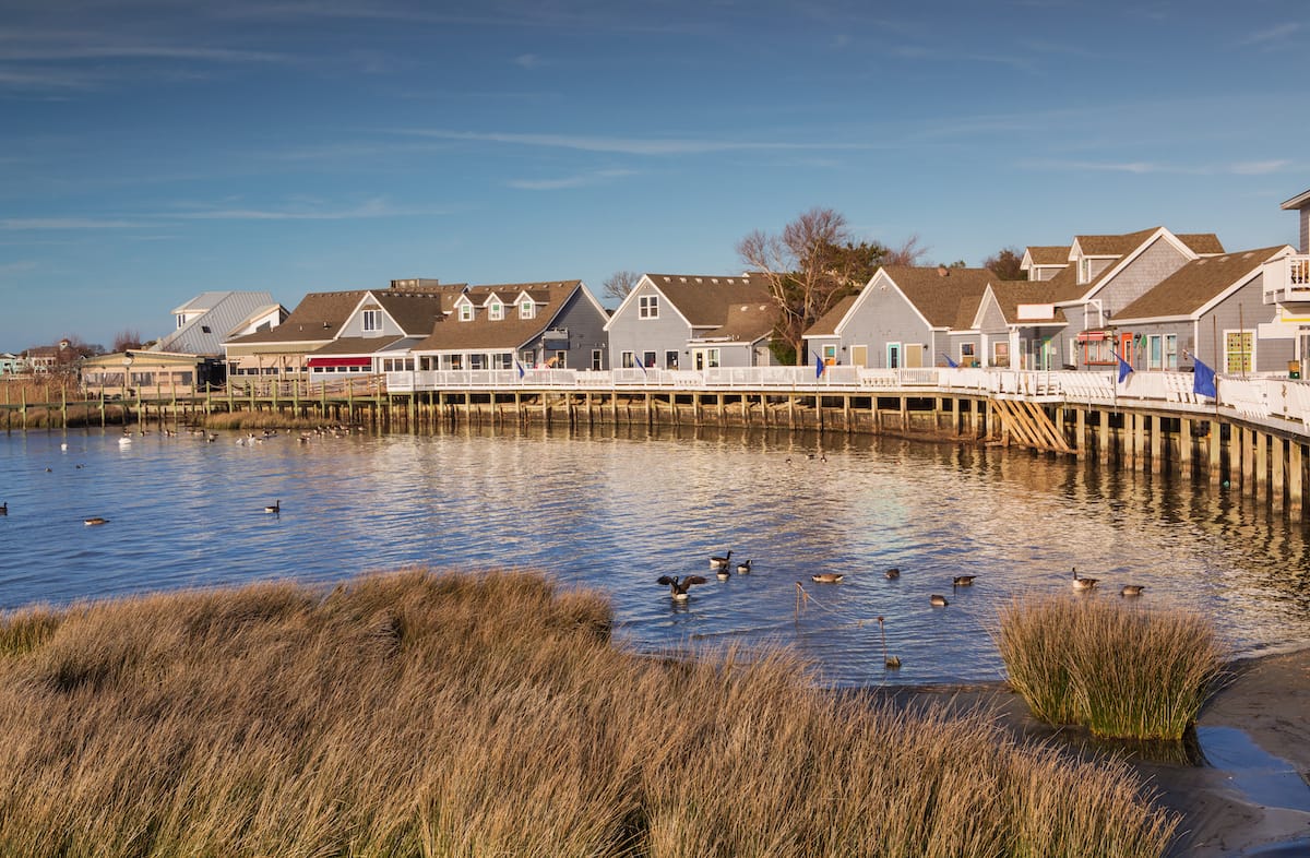 Duck Boardwalk in the OBX