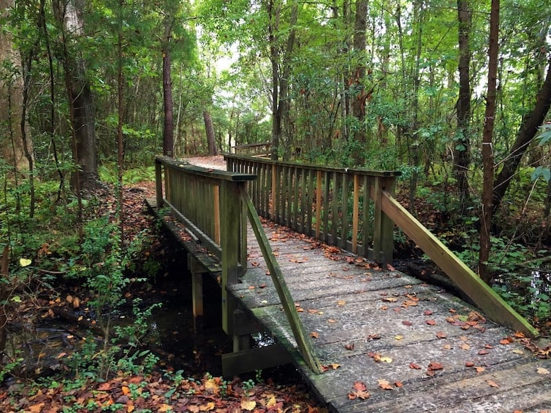 Hiking trail in Jacksonville
