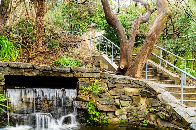 JC Raulston Arboretum - Wileydoc - Shutterstock.com