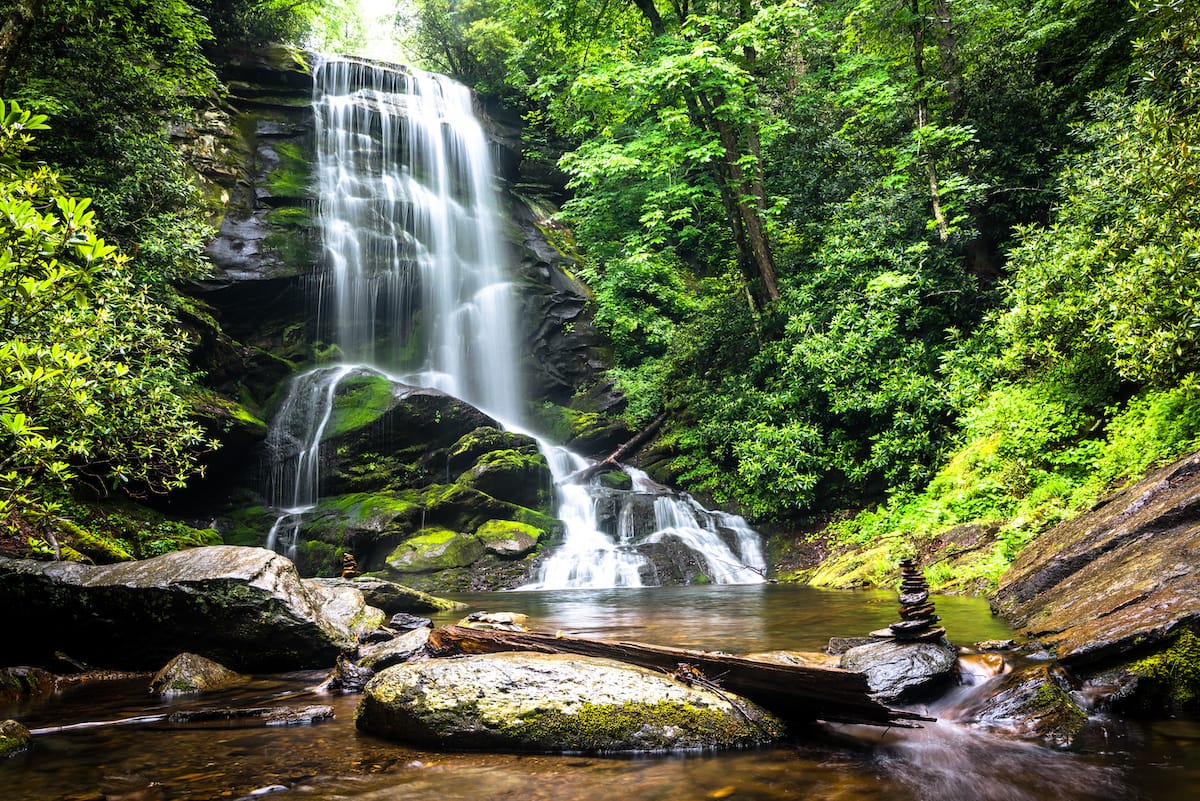 Pisgah National Forest